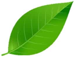 Read more about the article ISO 14001