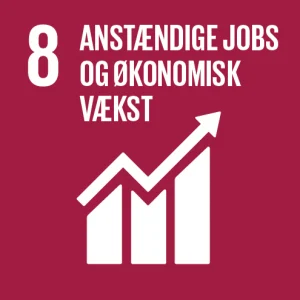 Verdensmål 8: Anstændige jobs og økonomisk vækst
