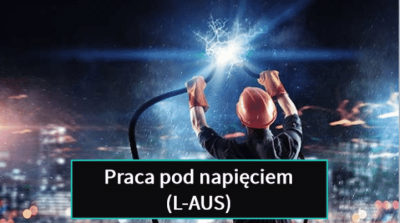 l-aus polsk